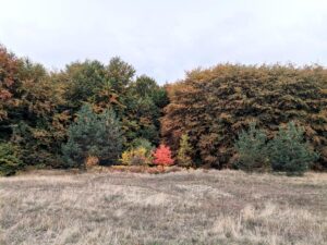 Lire la suite à propos de l’article Semaine 03 – #2 Mont Vitosha et Yarlovo